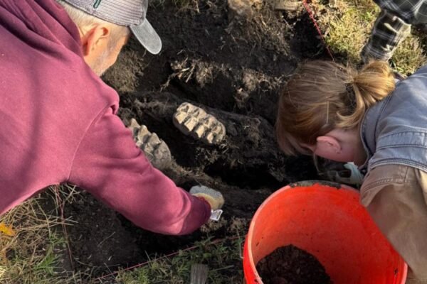 Complete mastodon jaw found in New York homeowner’s backyard: ‘Remarkable discovery’